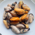 moules vertes de nouvelle-zélande de haute qualité